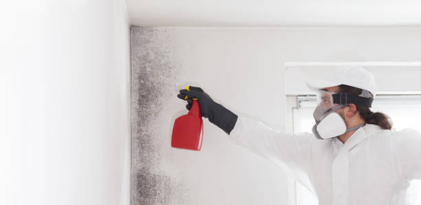 Best Office Mold Removal Services  in Pearl River, NY